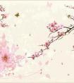 5月4号是什么星座（5月4号是啥星座呀）
