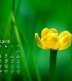 十二星座今日运势科技（金牛座今日星座运势）