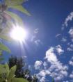 2017年8月8日星座运势（2017年1月份运势）