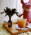 星座配对查询爱情（星座配对婚姻打分）