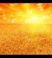 9月中旬是什么星座（9月份是什么星座呀）