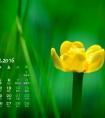 0509什么星座（19861202是什么星座）