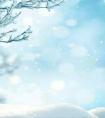1月11是什么星座（1月十一号是什么星座）